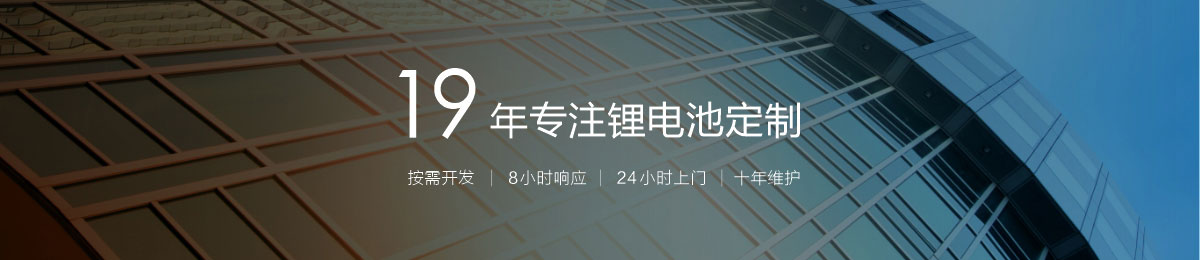 19年專注鋰離子電池定制